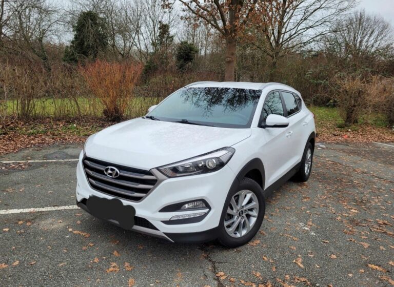 Warum das Nachschneiden der Wischerblätter Zeit und Geld spart