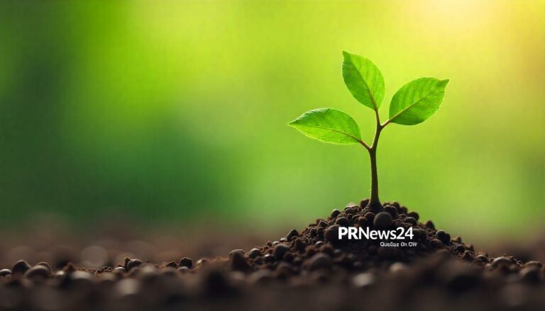 Pressemitteilungen für B2B: So steigern Sie Ihre Reichweite